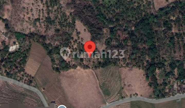 Dijual Tanah Luas 88 Are Selemadeg Barat 