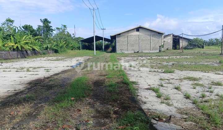 Investment Opportunity !! Inactive Cocopeat Factory For Sale - Fully Licensed, Strategic Location In Jembrana Bali.