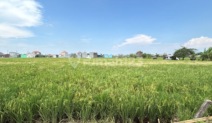 Dijual Tanah Kavling Perumahan di Area Sedati Sidoarjo Dekat Pasar Pabean
