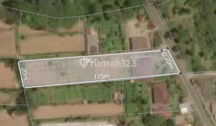 Dijual Tanah Bonus Rumah, Petang Pelaga Bali 1