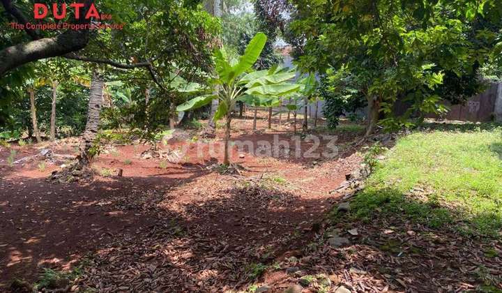 Dijual Tanah Lokasi Strategis di Jalan raya Radar Auri (Laguna) Area Bebas Banjir, SHM, Cimanggis Depok, Jawa Barat Dijual Tanah Lokasi Strategis di Jalan raya Radar Auri (Laguna) Area Bebas Banjir, SHM, Cimanggis Depok, Jawa Barat