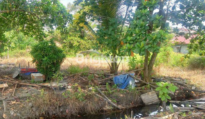 Tanah di pinggir jalan Rimbo Panjang 