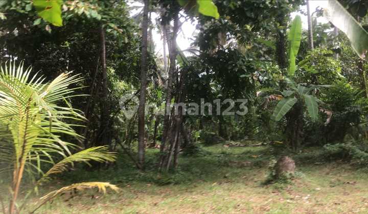 Dijual Tanah Mambang Tabanan View Jungle 2