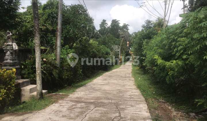 Dijual Tanah Mambang Tabanan View Jungle 1