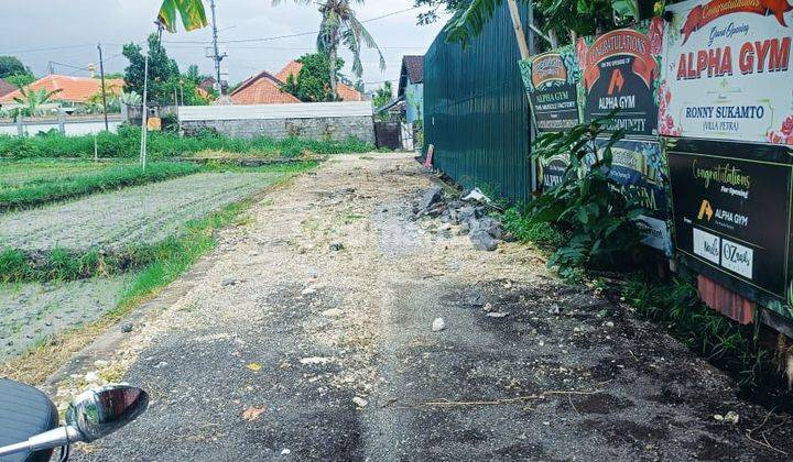 Dijual Tanah Jalan Pantai Berawa View Sawah 2