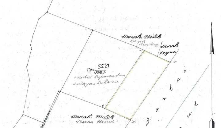 BEACHFRONT LAND FOR LEASE/SALE - SANUR | INVESTASI LANGKA DI TEPI PANTAI! ( IV )