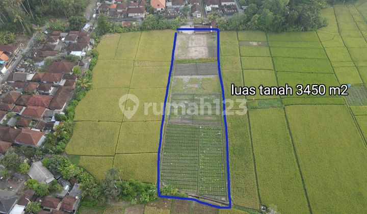 FOR SALE – FULL RICE FIELD VIEW LAND | JL. PANTAI KELATING, TABANAN – BALI