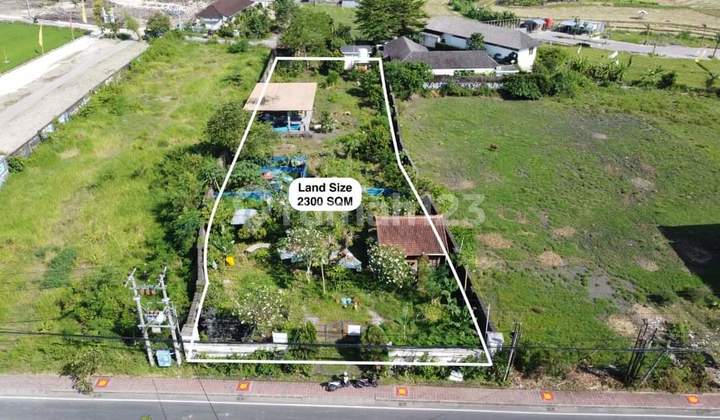 EXCLUSIVE OFFER – MAIN ROAD LAND BATU BOLONG, CANGGU