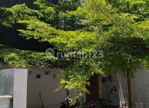 BUC FREEHOLD VILLA COMPLEX - SUBAK SARI CANGGU ( RBN ) BUC FREEHOLD VILLA COMPLEX - SUBAK SARI CANGGU ( RBN )