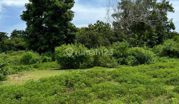 Dijual Tanah Area Ungasan Goa Gong Siap Di Bangun  2