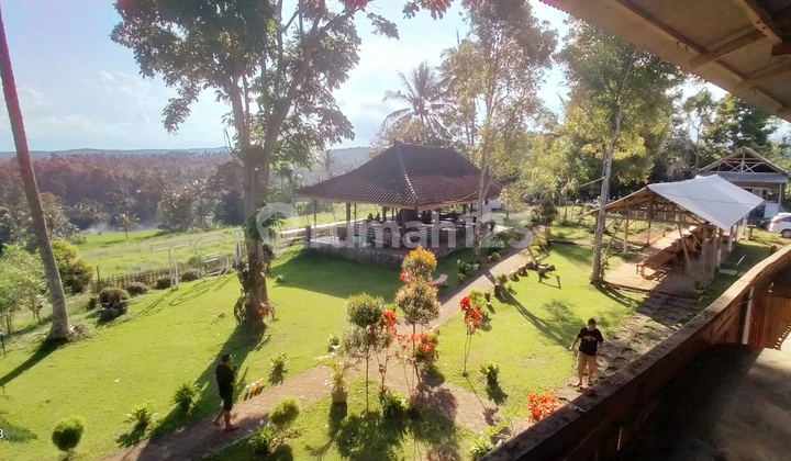 For Sale Villa Songgo Langit in Segobang Banyuwangi For Sale Villa Songgo Langit in Segobang Banyuwangi