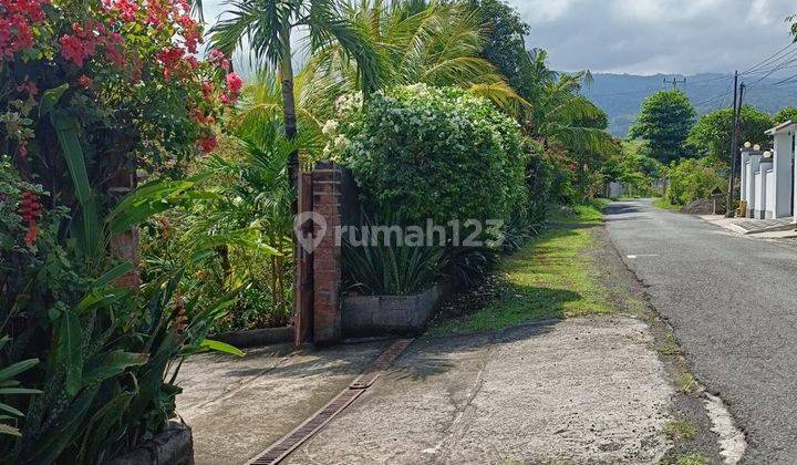 Dijual Tanah bonus Bangunan Sukasada Buleleng dekat pantai Lovina  1