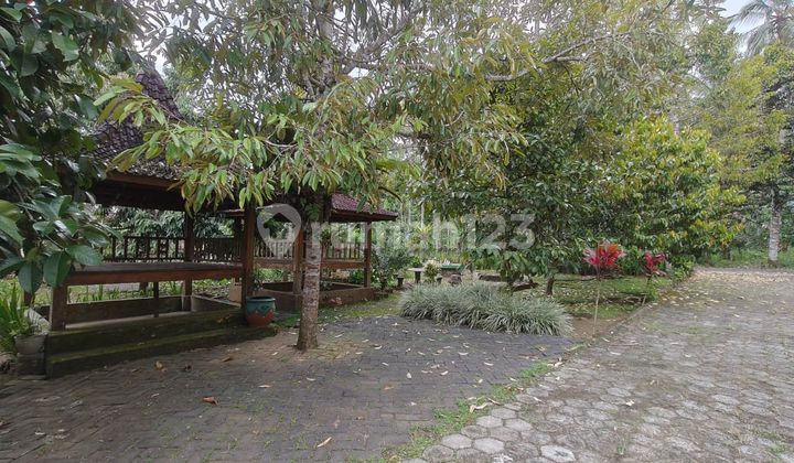 For Sale Villa Kampung Anyar Grogol Banyuwangi For Sale Villa Kampung Anyar Grogol Banyuwangi