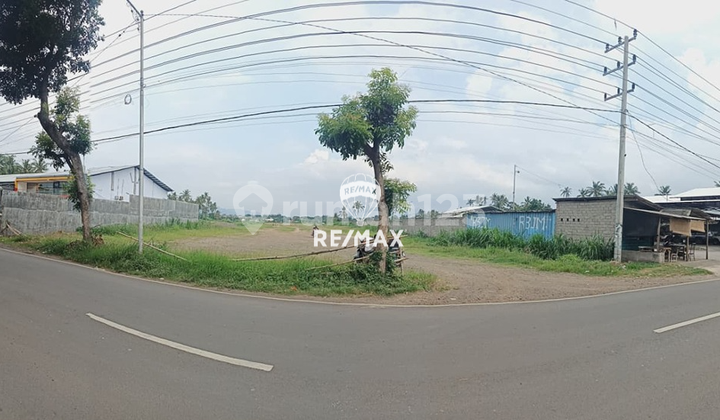 Di Jual Tanah di Jalan Lingkar Ketapang-Banyuwangi Di Jual Tanah di Jalan Lingkar Ketapang-Banyuwangi