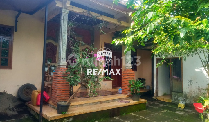 Dijual Rumah Konsep Tradisional Taman Sari -Licin, Banyuwangi Dijual Rumah Konsep Tradisional Taman Sari -Licin, Banyuwangi