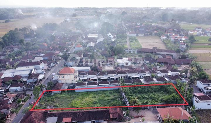 Di jual tanah premium 2200 m2 jalan utama Nyitdah, Kedunggu, Tabanan Di jual tanah premium 2200 m2 jalan utama Nyitdah, Kedunggu, Tabanan