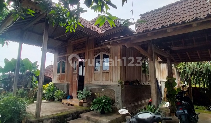 Dijual Rumah Joglo Olehsari Banyuwangi Dijual Rumah Joglo Olehsari Banyuwangi