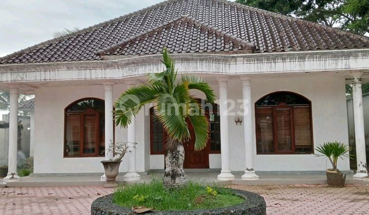Rumah Style Clasic Eropa Siap Huni Asri Dan Nyaman