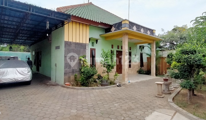 Rumah Seputaran Perumahan Klatak Siap Huni Dan Cafe 
