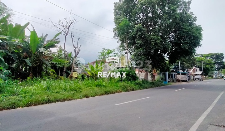 Dijual / Sewa Tanah Jalan Lingkar - Ketapang, Banyuwangi