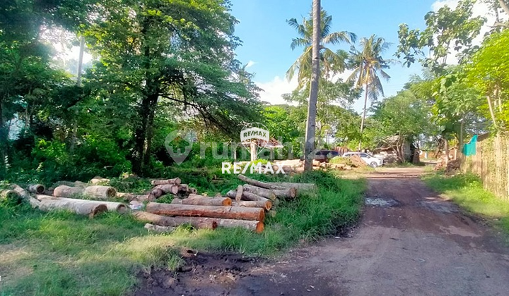 Dijual Tanah Strategis Argopuro, Banyuwangi Kota Dijual Tanah Strategis Argopuro, Banyuwangi Kota