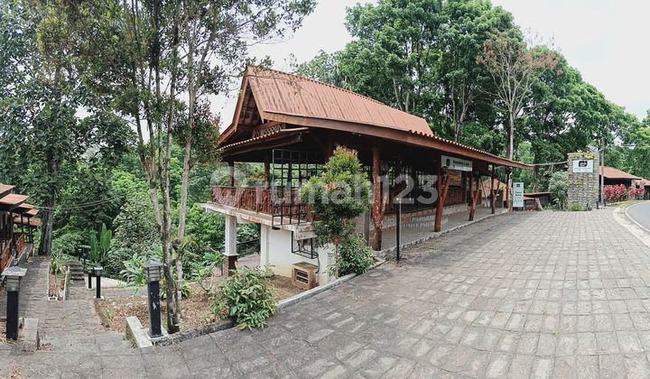 Dijual Ex. Resto & Homestay Rindu Ijen Banyuwangi Dijual Ex. Resto & Homestay Rindu Ijen Banyuwangi