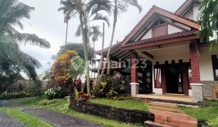 For Sale Modern Villa in Banyuwangi Traditional Tourism Village Area For Sale Modern Villa in Banyuwangi Traditional Tourism Village Area