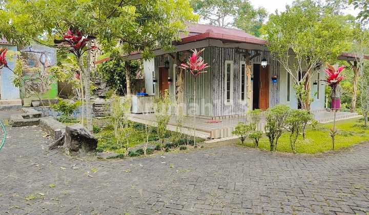 For Sale Villa Kampung Anyar Grogol Banyuwangi For Sale Villa Kampung Anyar Grogol Banyuwangi