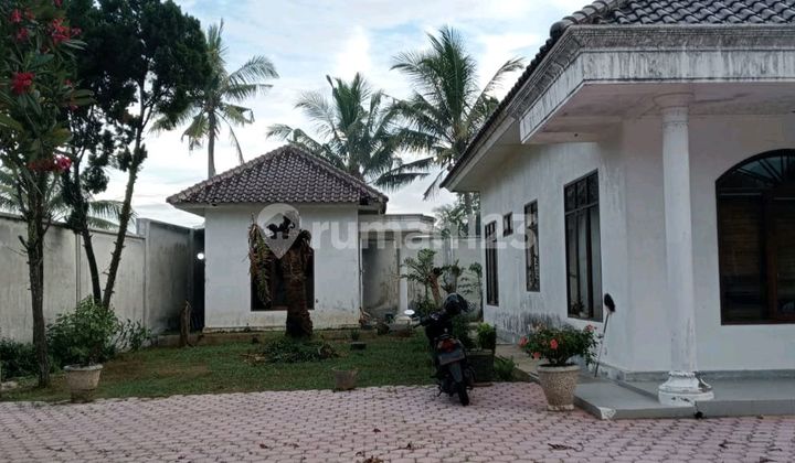 European Classic Style House Ready to Live In, Green and Comfortable 2