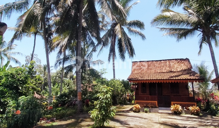 Scenic Rural Nuance Villa in Glagah Banyuwangi Scenic Rural Nuance Villa in Glagah Banyuwangi