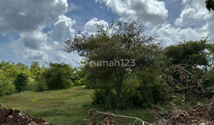 Leasehold Land in Bingin Pecatu Bali 2