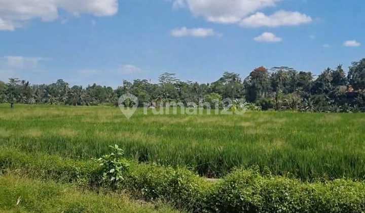 For Sale Land Semana Ubud View of Ricefield and River