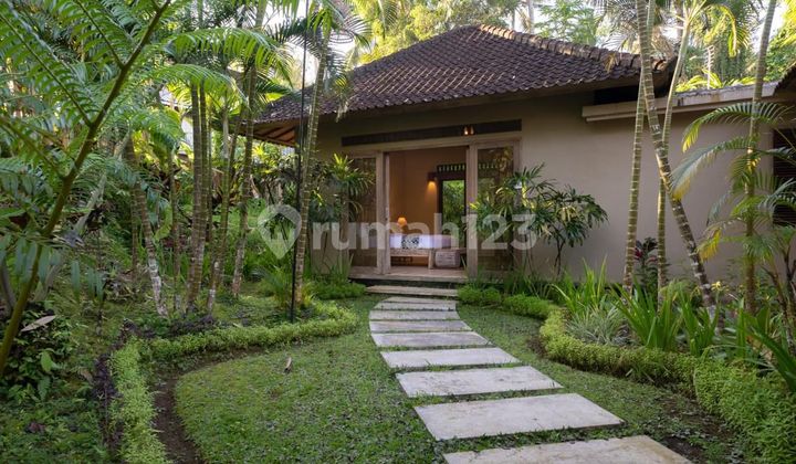 Super Buc Breaks, Price Drops Drastically From IDR 22 Billion to Only IDR 9.5 Billion Super Buc Breaks, Price Drops Drastically From IDR 22 Billion to Only IDR 9.5 Billion