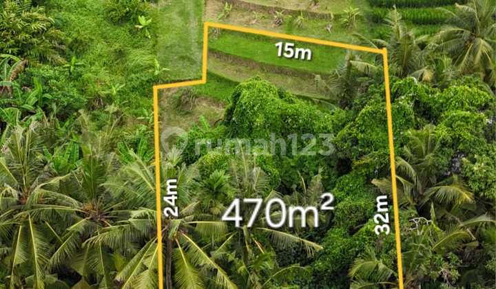 Dijual Lahan Eksklusif Lingkungan Tenang Los Sungai Dijual Lahan Eksklusif Lingkungan Tenang Los Sungai