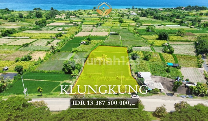 Premium Land With Rice Field View On Ib Mantra Bypass