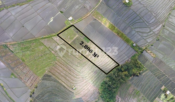 LAND 2800M2 AT TABANAN, NICE VIEW AND NEAR WITH THE BEACH LAND 2800M2 AT TABANAN, NICE VIEW AND NEAR WITH THE BEACH