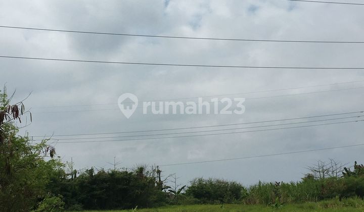FOR RENT 2HA LAND IN KETEWEL, GIANYAR COMPLETE CERTIFICATE