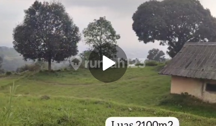 Tanah untuk Villa Tanah untuk Villa