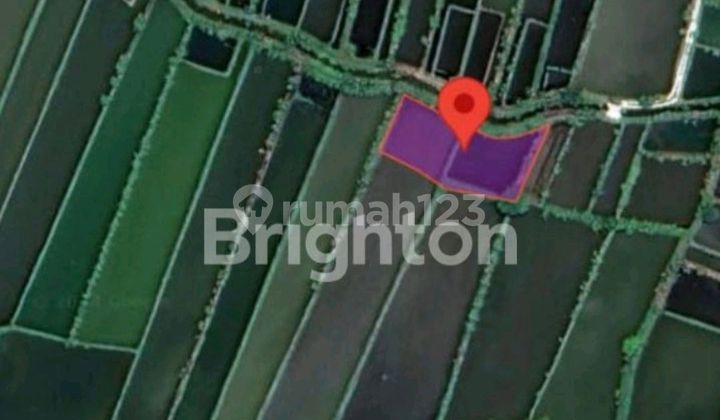 Jual Tanah Bonus Tambak