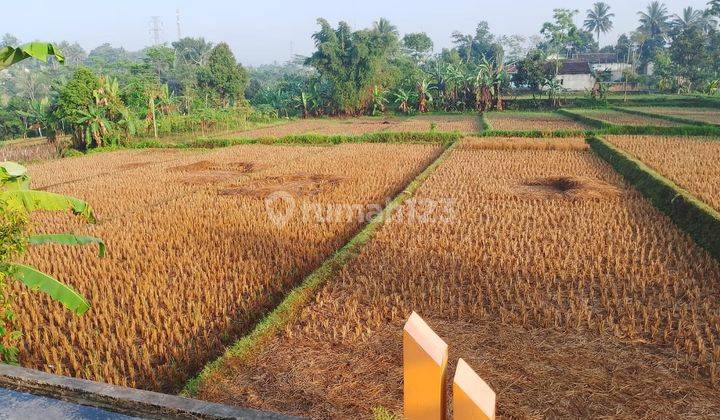 Dijual Cepat Sawah Pinggir Jalan Dengan Luas 3700 Meter Persegi Surat Masih Ajb Strategis Pinggir Jalan 1