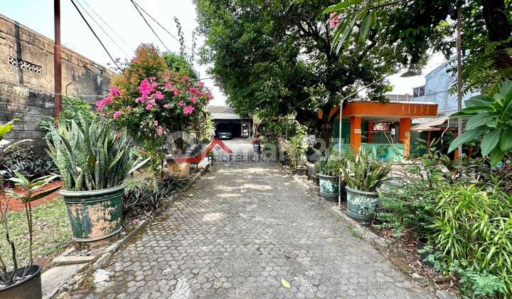Old House Ready to Live In With a Spacious Yard