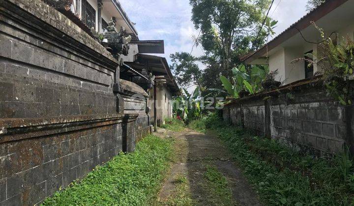 TANAH VIEW SAWAH DAN SUNGAI DI PAYANGAN, UBUD, BALI 2