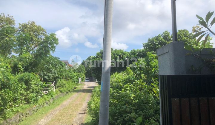 Sebidang Tanah Lokasi Strategis di Daerah Seminyak Sebidang Tanah Lokasi Strategis di Daerah Seminyak