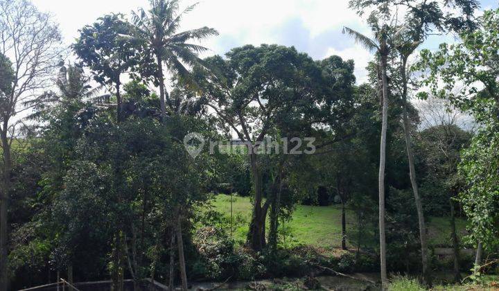 Tanah Los Sungai Super Langka Siap Bangun Buduk Dekat Tumbak Bayuh Bali 1