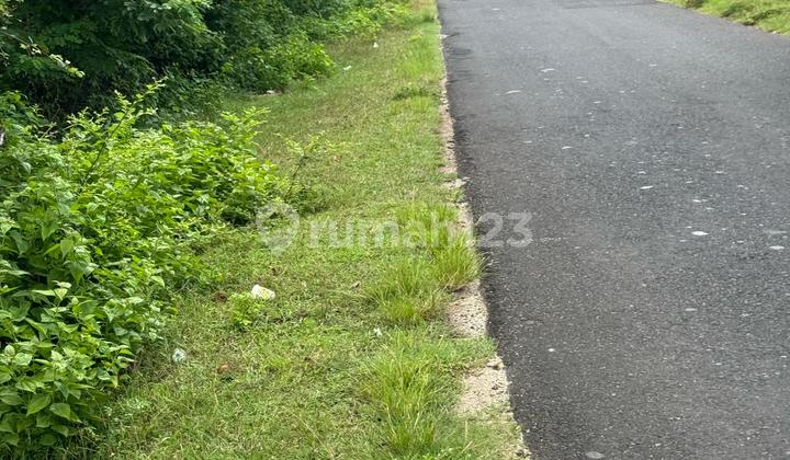 Tanah Strategis di Bypass Pandawa