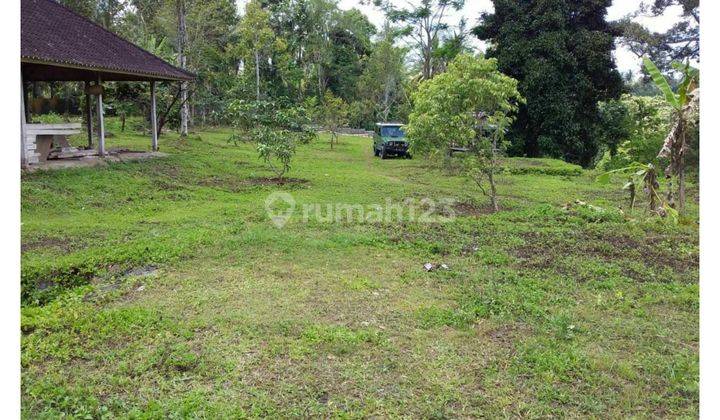 Dijual Tanah View Telaga Tunjung di Tabanan, Bali 1