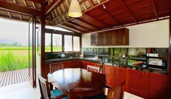 Boutique Villa Complex For Sale With Gorgeous Views Of The Rice Fields.  2