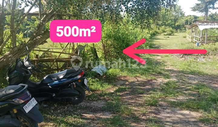 Tanah di Jl Gayang Sari, Kutuh, Kuta selatan, Badung, Bali Tanah di Jl Gayang Sari, Kutuh, Kuta selatan, Badung, Bali