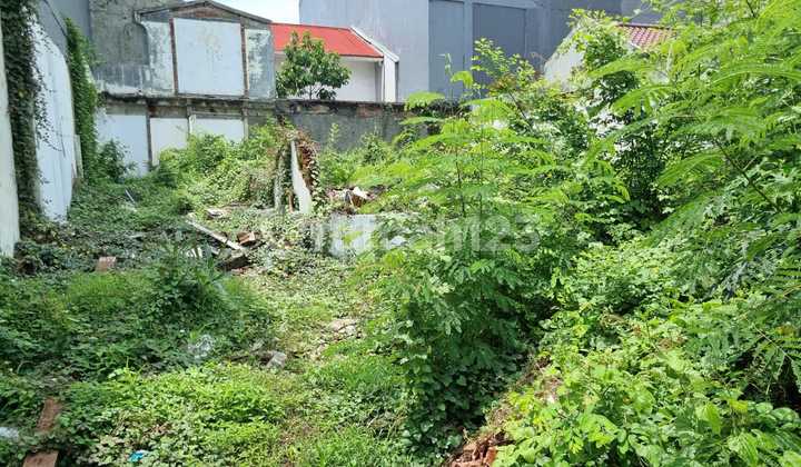 Large Land Ready to Build in North Pulomas Large Land Ready to Build in North Pulomas