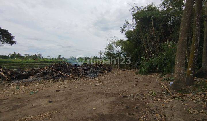Rumah Shm Murah di Kringinan, Hanya 205 juta 1